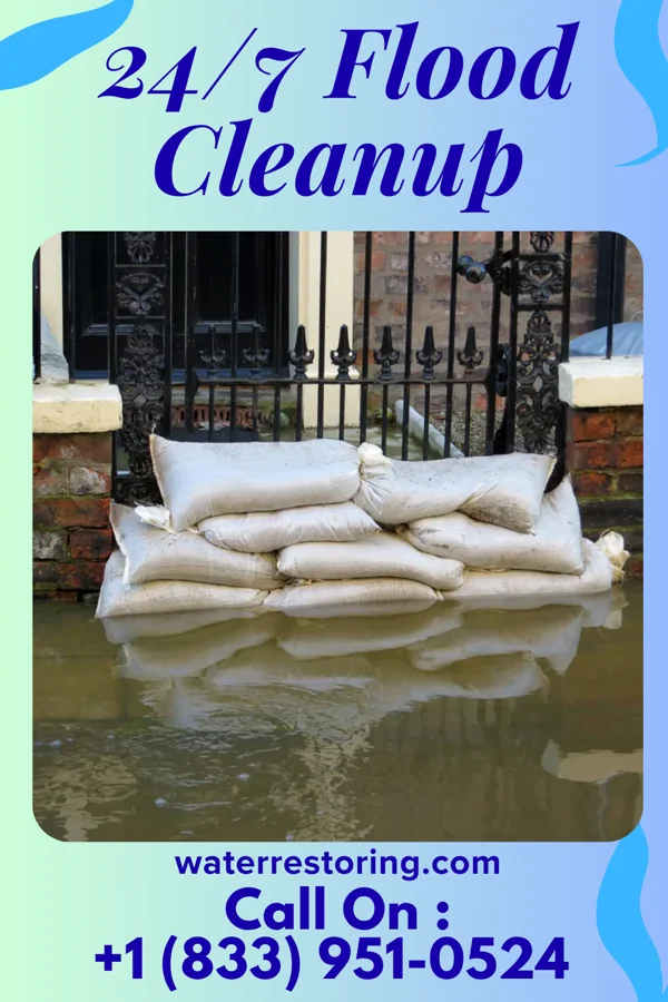 24/7 Flood Cleanup in Wild Rose, WI