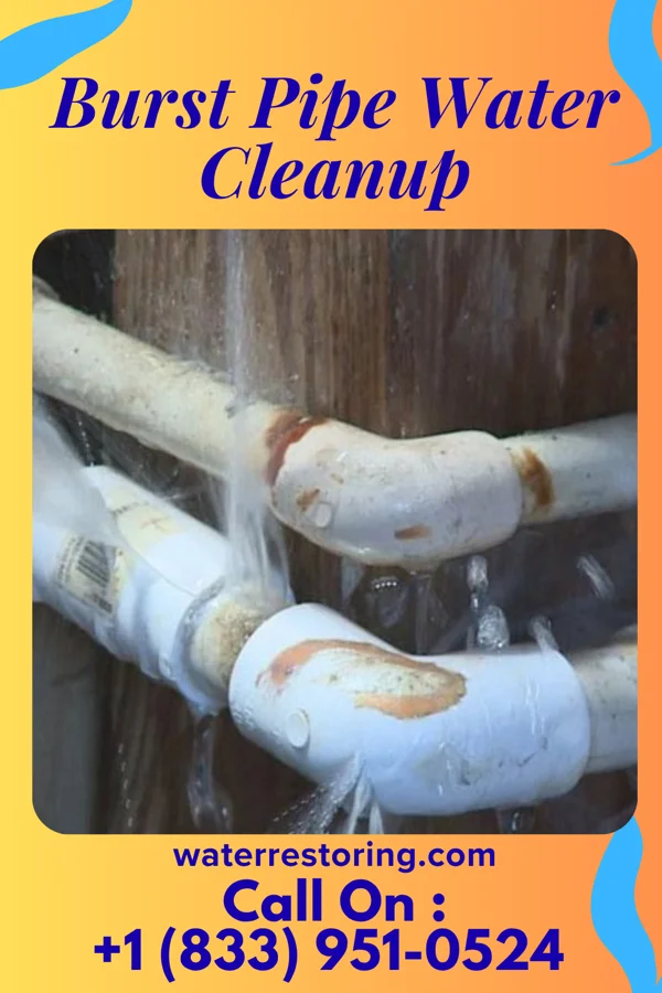 Burst Pipe Water Cleanup in Wild Rose, WI