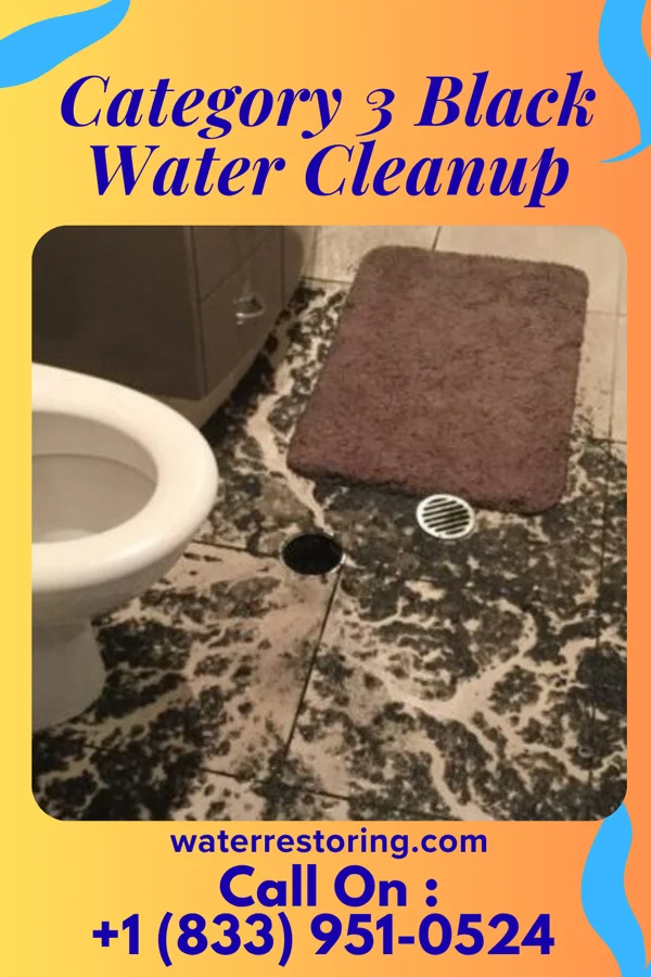 Category 3 Black Water Cleanup in Wild Rose, WI