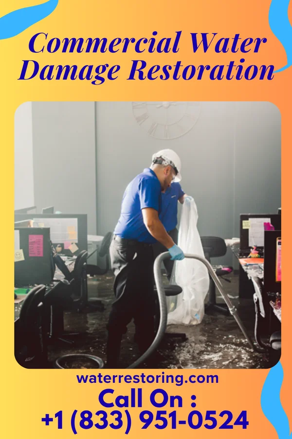 Commercial Water Damage Restoration in Wild Rose, WI