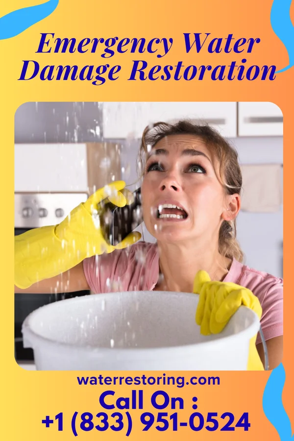 Emergency Water Damage Restoration in Wild Rose, WI