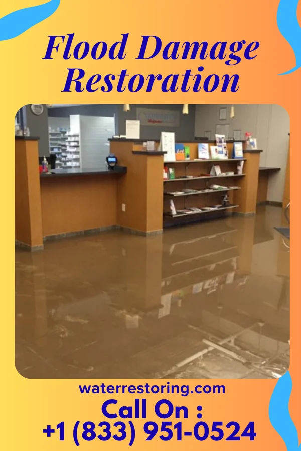 Flood Damage Restoration in Wild Rose, WI