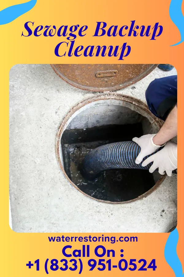 Sewage Backup Cleanup in Wild Rose, WI