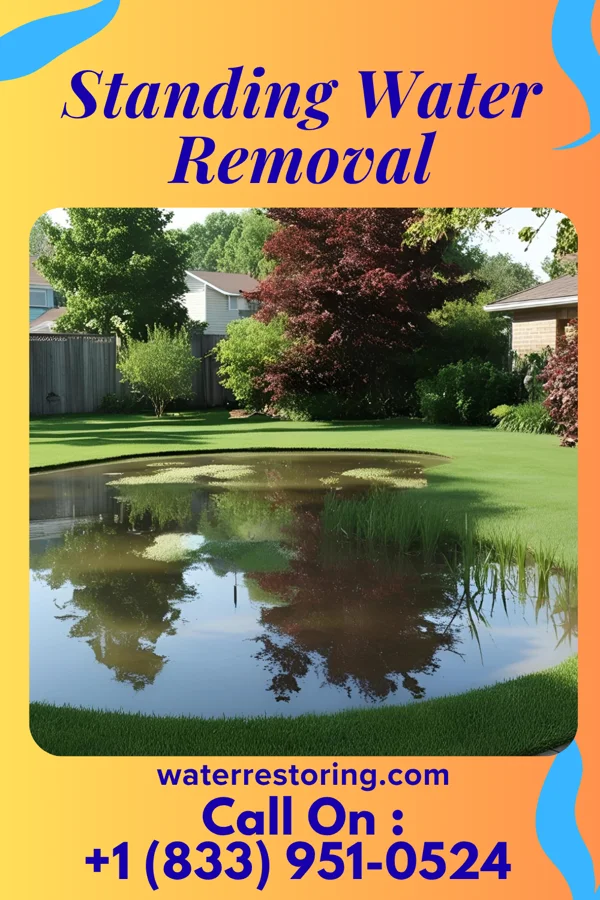 Standing Water Removal in Wild Rose, WI